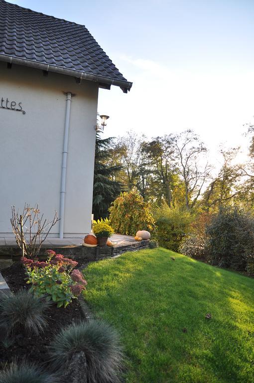 Chambres D'Hotes Les Chalinettes Fegersheim Exteriör bild